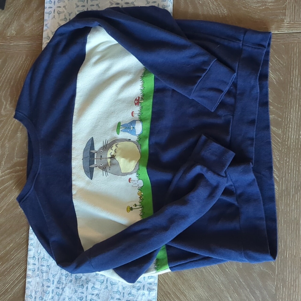 BoxLunch My Neighbor Totoro Sweatshirt Size Large